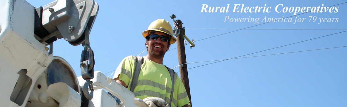 Federated rural electric insurance exchange